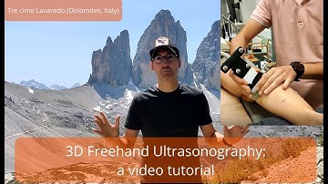 3D Freehand Ultrasonography: a video tutorial