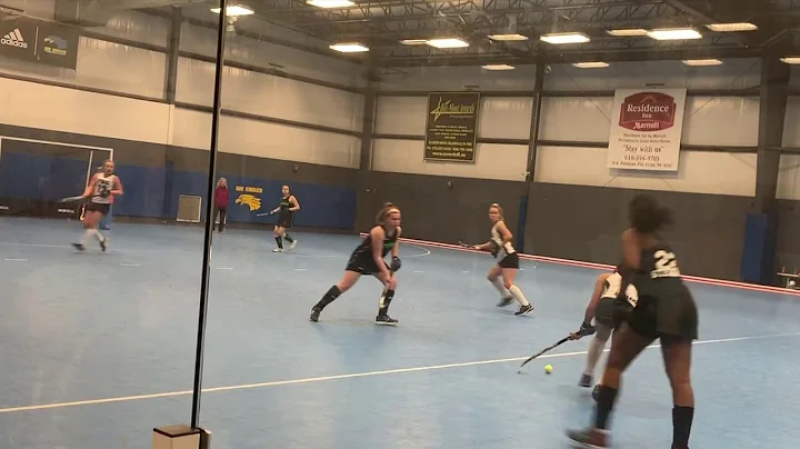 Allison Gallant 2020 Recruiting Video January 26th...