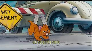 Man Är Väl Inföddwhy Should I Worry Swedishdisney