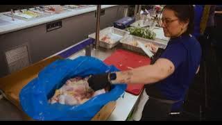 Day in the Life - Mets Clubhouse Chefs