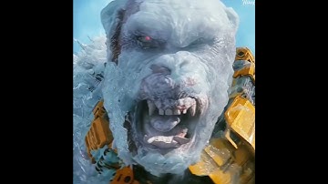 Skar king is killed by kong😈 Kong attitude 😈😈 #godzilla #kong #shimo #skarking #godzillavskong