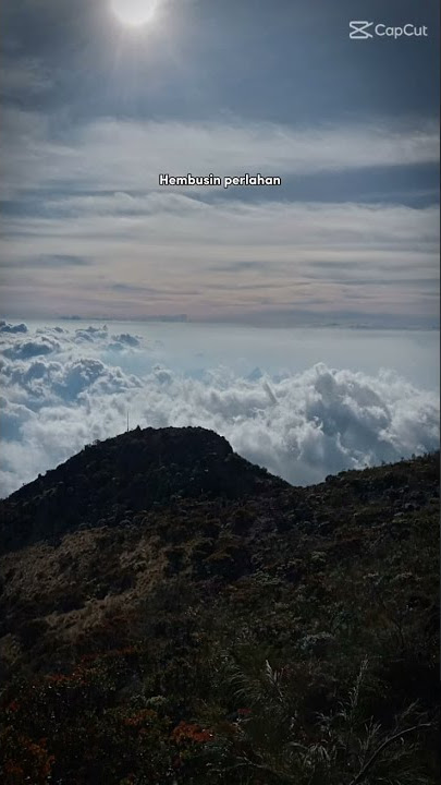 COCOK UNTUK YANG LAGI JENUH SAMA KEHIDUPAN 😀