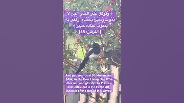 سورة : الفرقان - Al-Furqān آية 58 #قرآن #quran