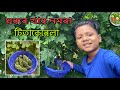 Ghorore Khar Nomora Titakerela || Assamese new vlogs 2025