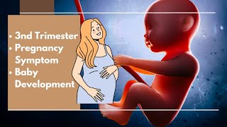 3rd Trimester of Pregnancy Symptom And Baby Development