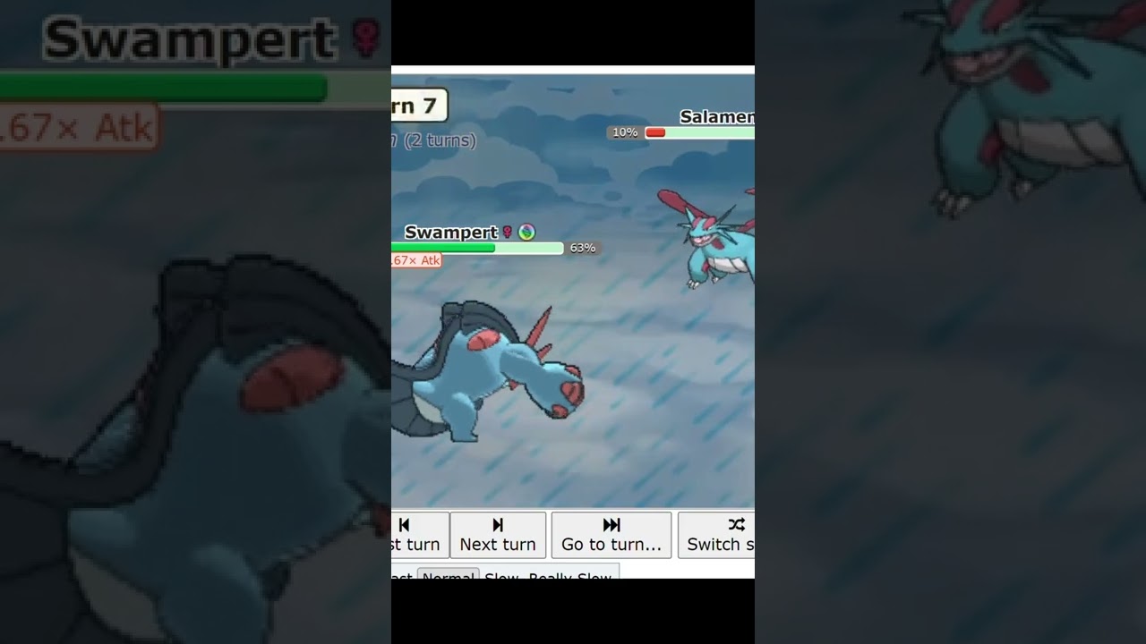mega swampert + pelipper sweep