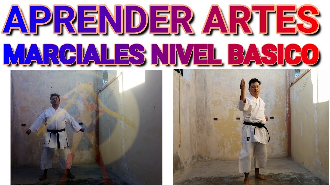 COMO APRENDER ARTES MARCIALES NIVEL BÁSICO PARA PRINCIPIANTES 6 CLASE