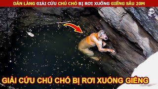 Dân Làng Giải Cứu Chú Chó Bị Rơi Xuống Giếng Sâu 20m || Review Con Người Và Cuộc Sống