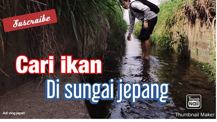 Cari ikan di sungai jepang.  Japan vlog