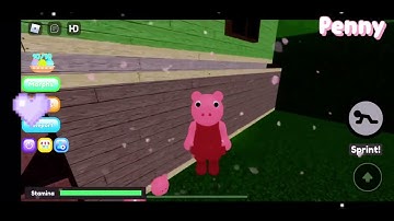 💕 Where to find all 15 new morphs!! - Roblox find the piggy morphs! 🐷