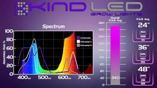KIND LED vs. HPS, Black Dog, Lumigrow, Lush Light, California Light Works
