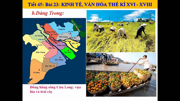 Kinh tế văn hóa thế kỉ xvi xviii tiết 1 năm 2024