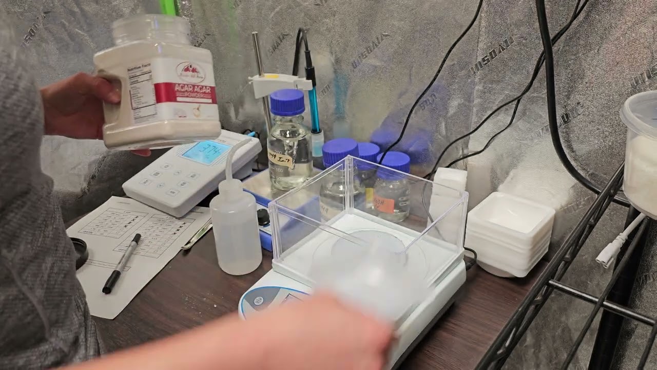 Woody Plant Tissue Culture Initiation Media Tutorial (Uncut 30min Walk-through)