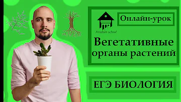 ВЕГЕТАТИВНЫЕ ОРГАНЫ РАСТЕНИЙ для ЕГЭ 2023 |ЕГЭ БИОЛОГИЯ|Freedom|