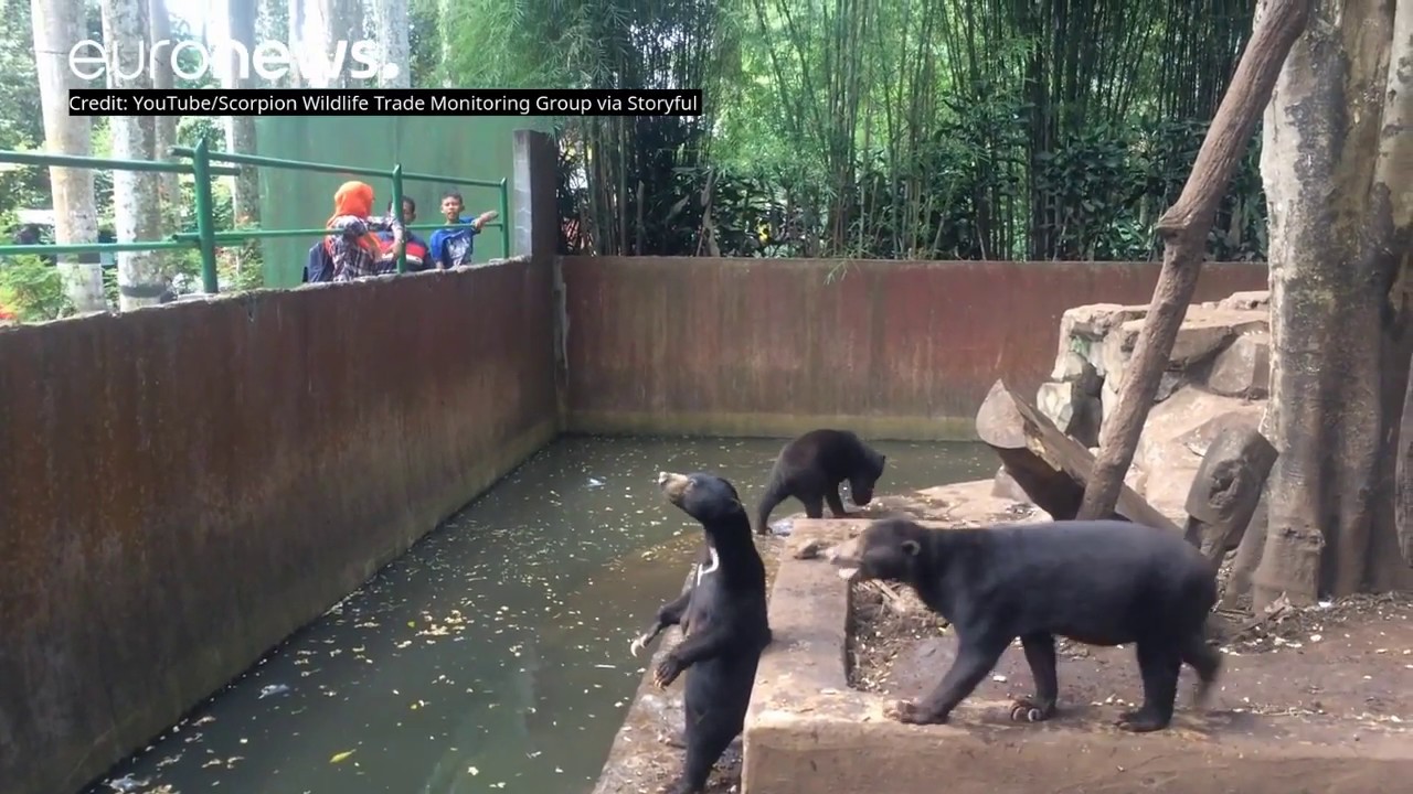 10 Photos Of Sad Animals In Zoos