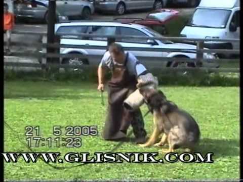 Sid Vom Haus Pixner Protection Youtube