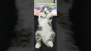 Amazing Video Keep Watching