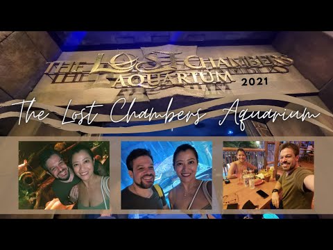 The Lost Chambers Aquarium October 2021