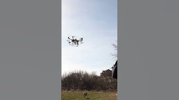 T30 Orchard Package Takeoff #shorts #agras #t30 #agrast30 #djiagriculture #spraying #orchard #dji