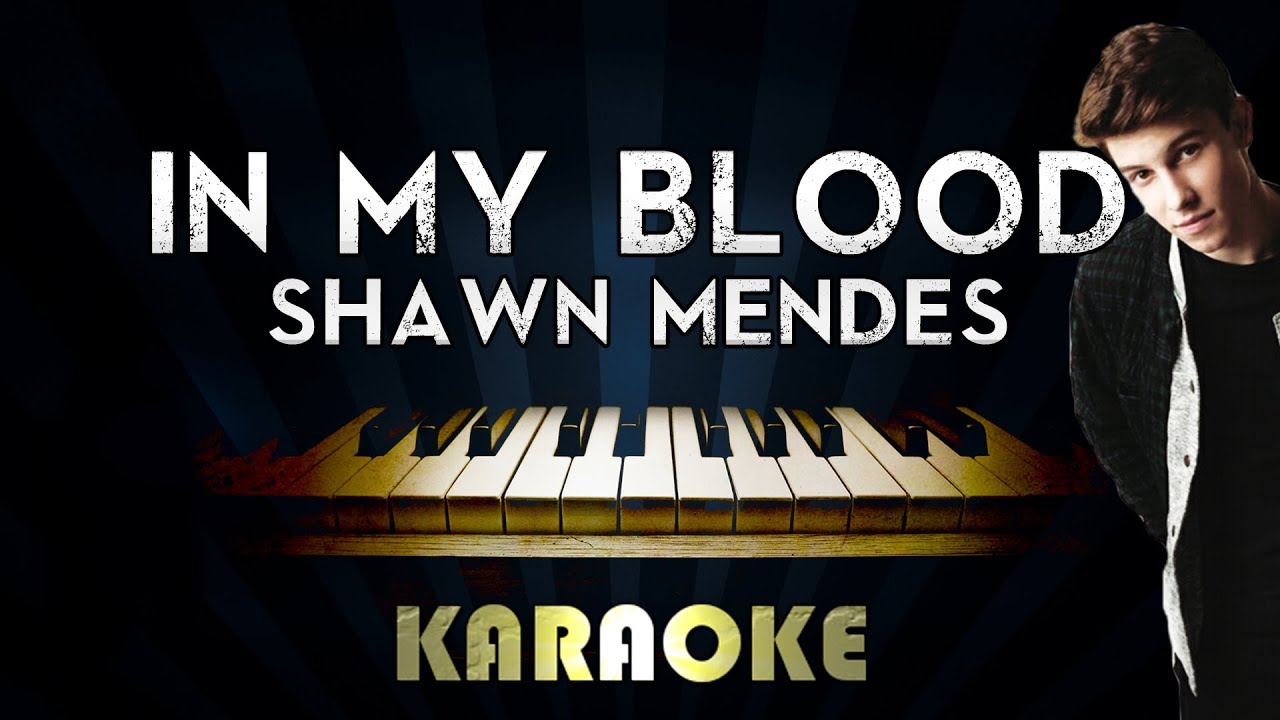 Shawn Mendes In My Blood Karaoke