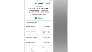 Mobile Timesheet Features - Replicon