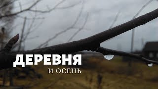 Деревня и осень