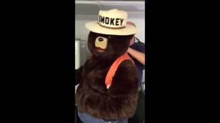 Firefighter Smokey Bear Suit