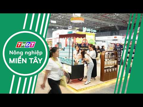 Creating a Launchpad for Vietnamese Goods to Integrate Deeply into the Global Supply Chain | Meko...