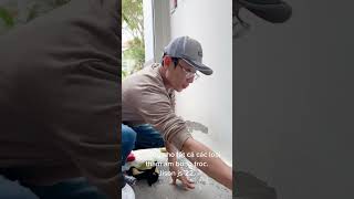 Xử Lý Tường Muối Siêu Nặng Từ Jison.
