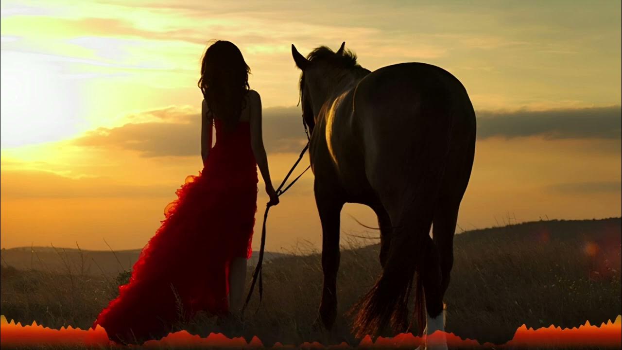Песня конь версия коня. Лошади на закате. Девушка на лошади на закате. Девочка на лошади. Девушка на лошади со спины.