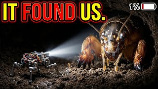 I Sent a Tiny Robot Underground... It Didn't Come Back