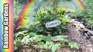 The Square Foot Garden at the River in September, Zucchini, Winter Squash, Cucumbers, More