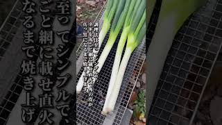 幻のネギ【岩津ねぎ】期間限定でしか食べられない！ #shorts