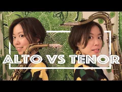 バオバブ とおる♪ お片付け恐竜レールボックス | CATALOG | Hape | ブランド一覧