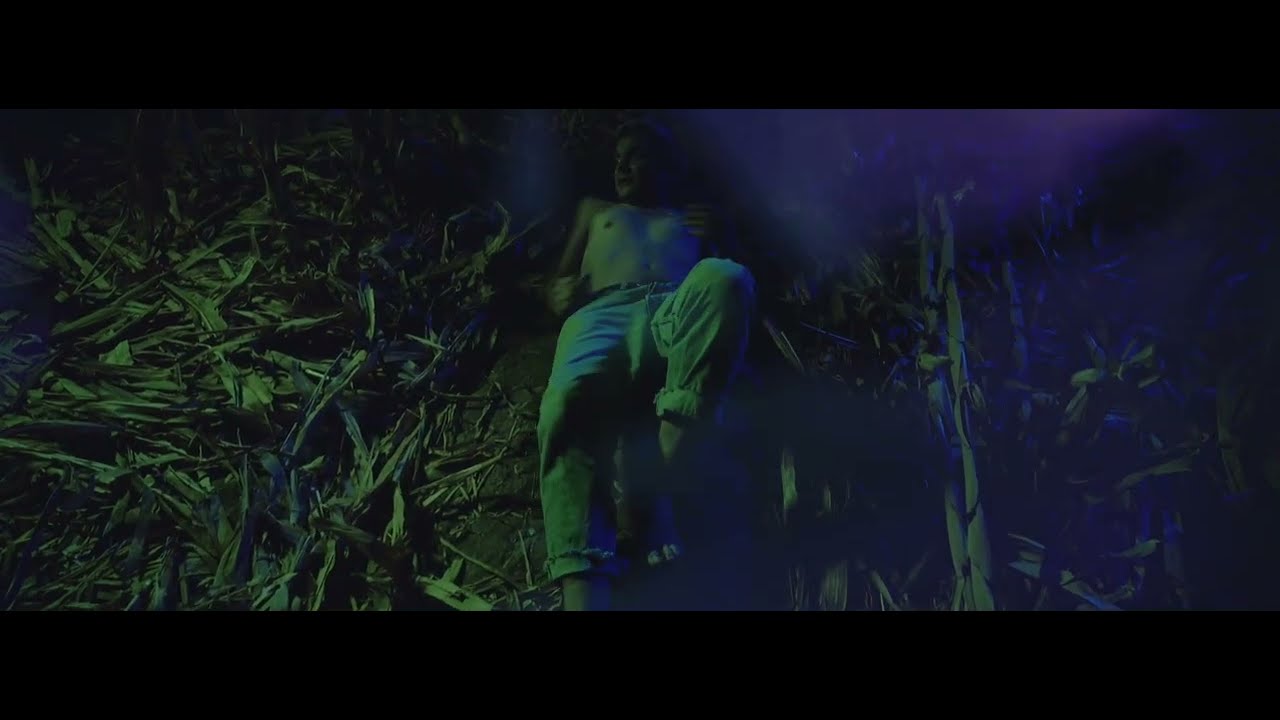 Watch Vivel - Visitantes on YouTube Watch Vivel - Visitantes on YouTube