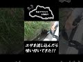 エサを流し込んだら大物きた！！