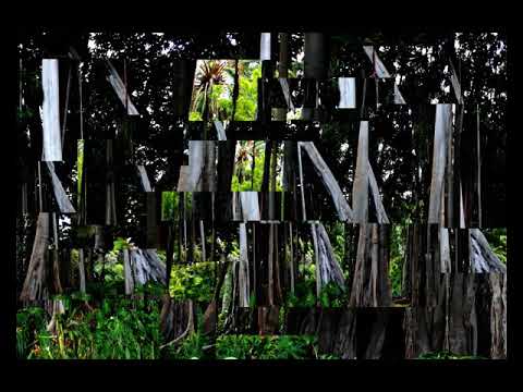 Image Shuffle made in Blender 2.9