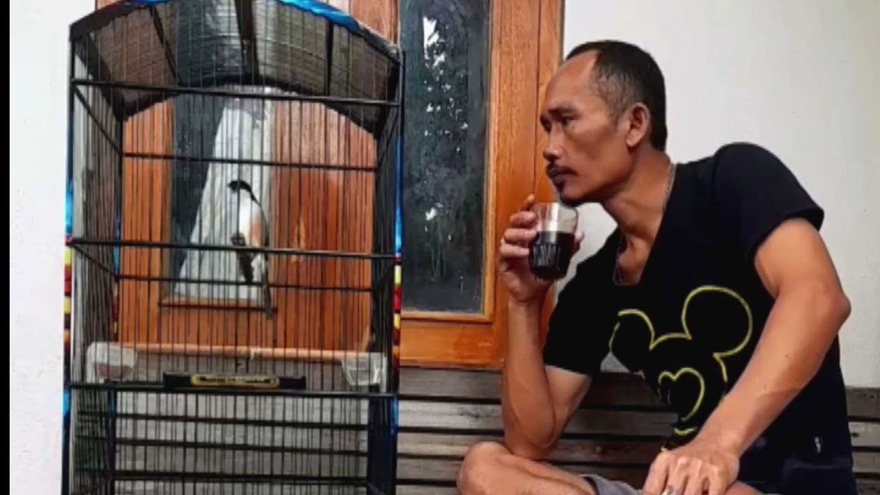 Bukak krodong cor dor bolo 