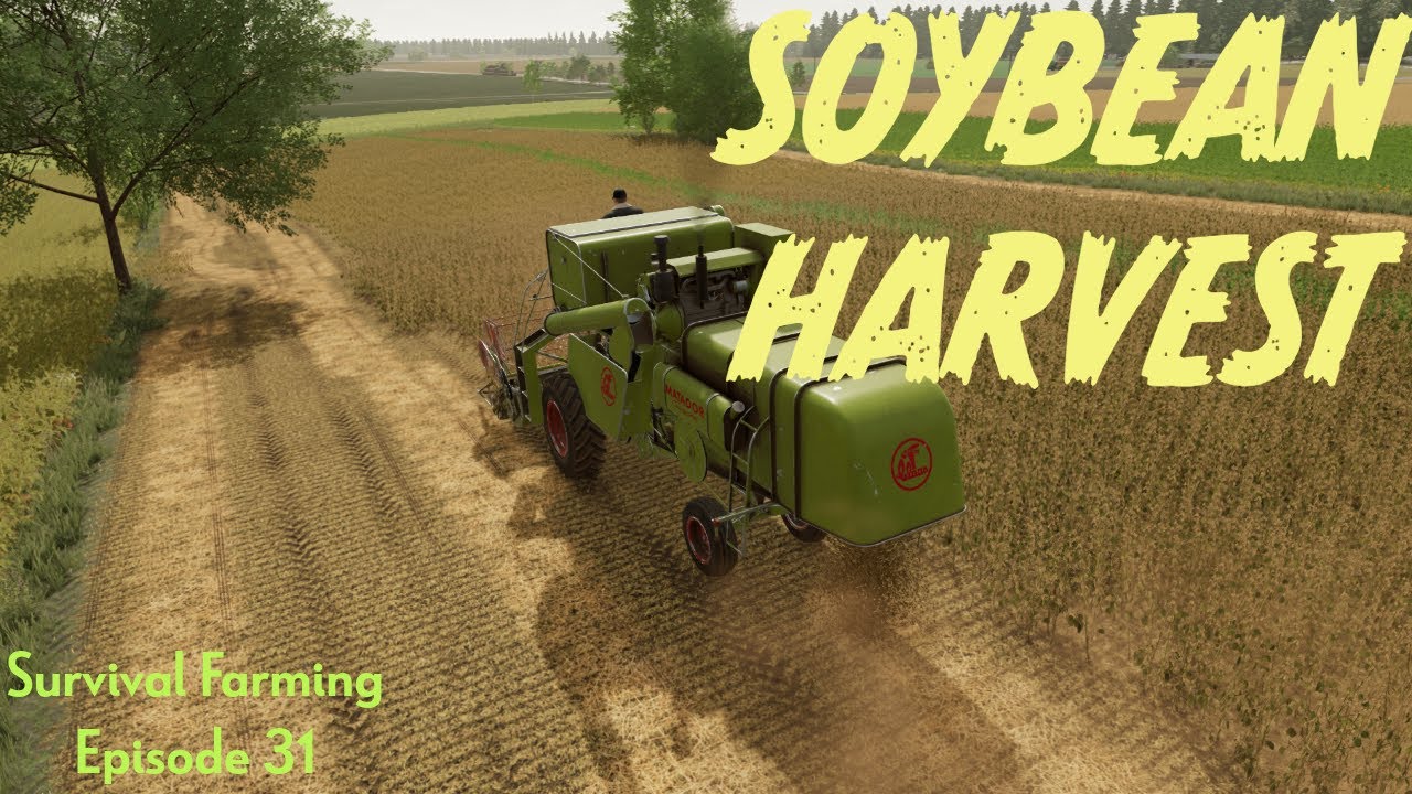 Harvesting Soybeans and Planting Canola Survival Farming Episode 31