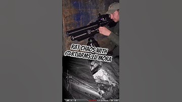 Rat chaos with @rtiarms.eu mora paired with ‎⁨@DNTOptics⁩    #nightvision #pestcontrol #viral