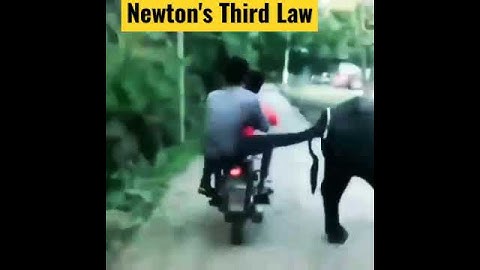 For every action, there is an equal and opposite reaction | Newton