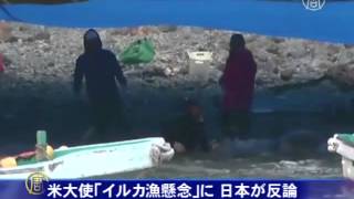 米大使「イルカ漁懸念」に日本が反論