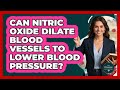 Can Nitric Oxide Dilate Blood Vessels To Lower Blood Pressure? - The Disease Encyclopedia