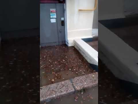 Севастополь после ливневого