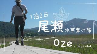 【2026 尾瀬】1泊2日水芭蕉の旅｜鳩待峠発着 龍宮小屋宿泊の、尾瀬ヶ原周遊ルート｜山小屋予約のコツも！