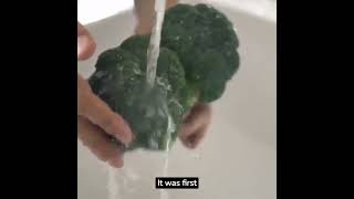 Famous Broccoli is a “man-made” food #broccoli #interestingfacts #vegetables Profile