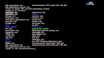 Linux: Install a spearhead gameserver on Debian