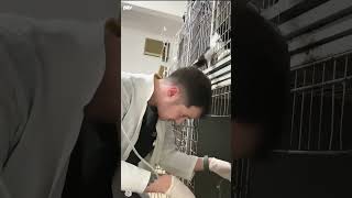 Your Cat Isn’t Trying To Trip You… Probably 😭