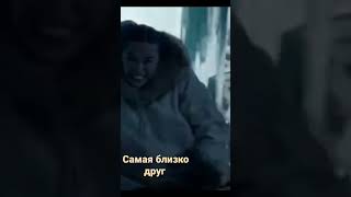 собака спасайт свой хозяин и команда #Блек.