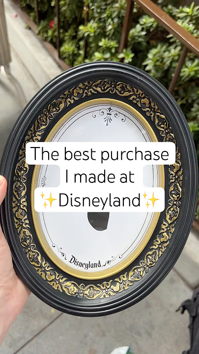 The best purchase I made at Disneyland #disney #disneyland #disneyparks #silhouette #souvenir
